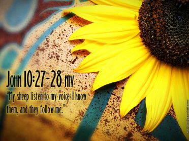 blog-grid